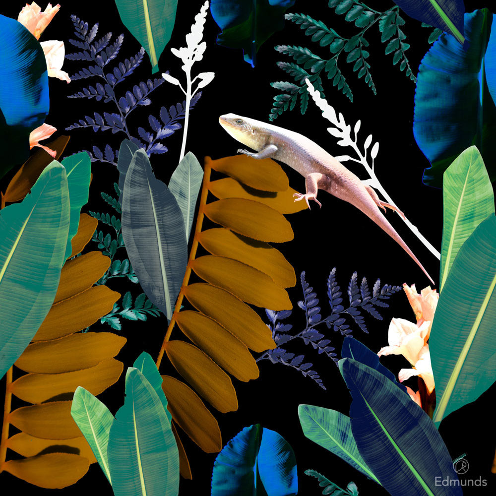 Noeud papillon - Uruara | Edmunds